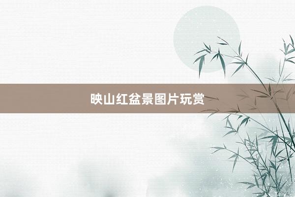 映山红盆景图片玩赏