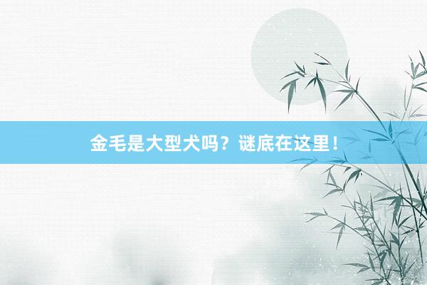 金毛是大型犬吗？谜底在这里！