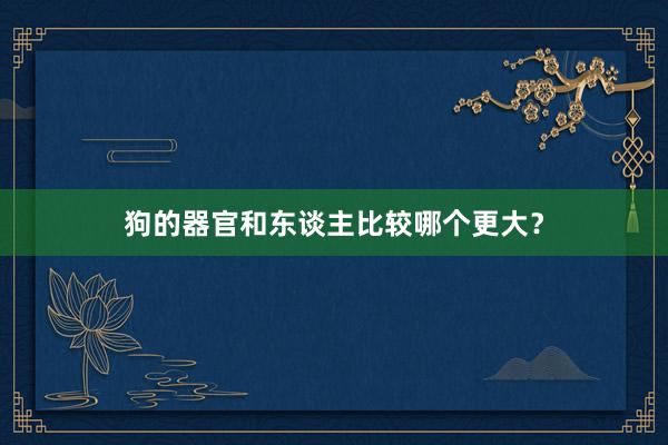 狗的器官和东谈主比较哪个更大？